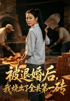 被退婚後我燒出了全縣第一磚