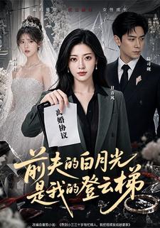 前夫的白月光是我的登雲梯