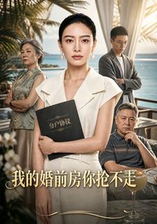 我的婚前房你搶不走