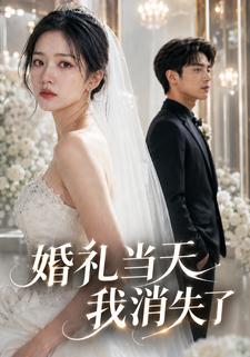 婚禮當天，我消失了
