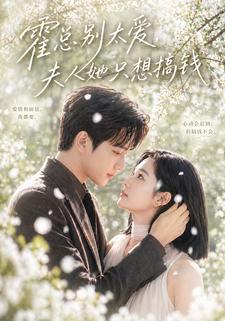 霍總別太愛，夫人她只想搞錢