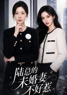 陸總的未婚妻不好惹