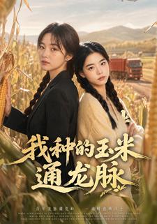 我種的玉米通龍脈
