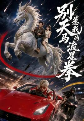 別惹我的天馬流星拳