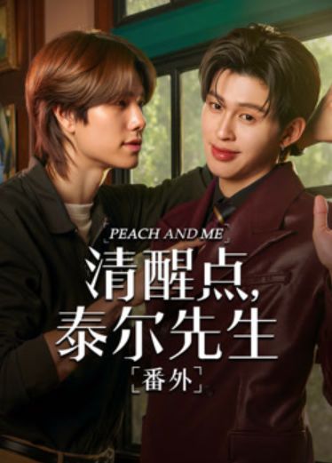 清醒點 泰爾先生番外篇