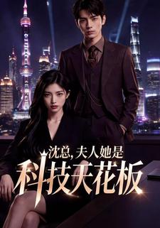 沈總，夫人她是科技天花板