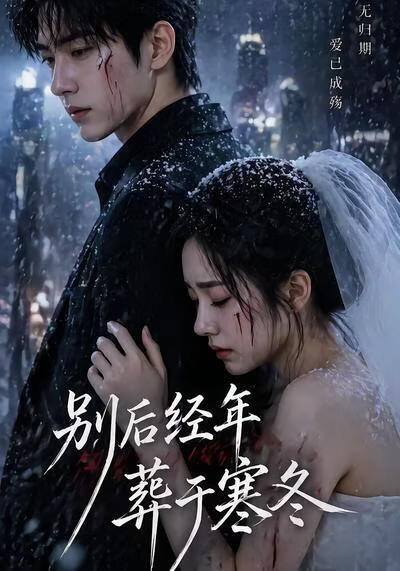 別後經年，葬於寒冬