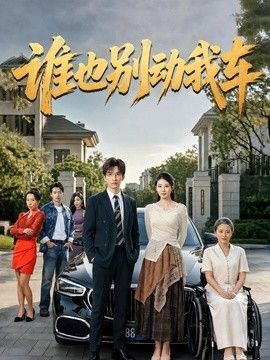 誰也別動我車