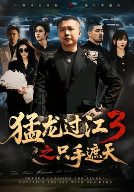 猛龍過江3之隻手遮天