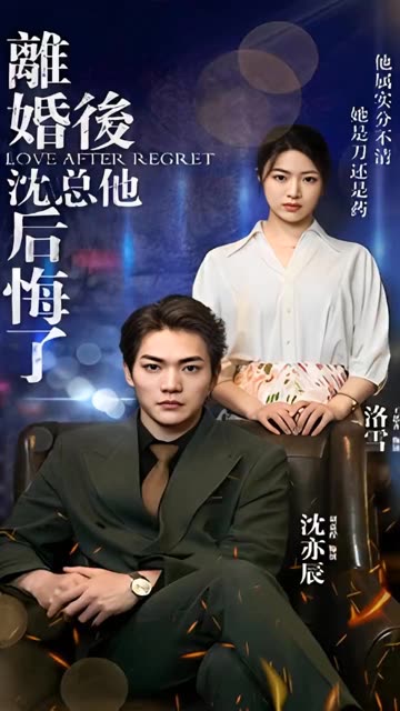 離婚後，沈總他後悔了