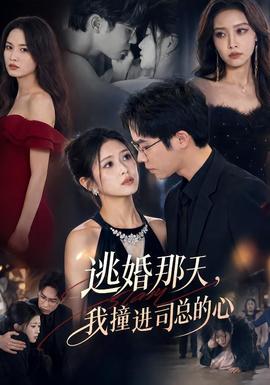 逃婚那天，我撞進司總的心