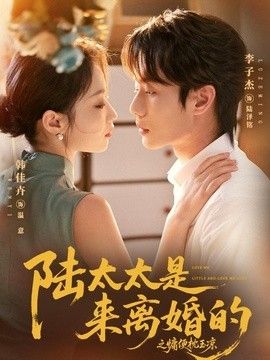 陸太太是來離婚的之慵便枕玉涼