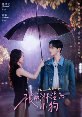 被雨淋溼的小狗